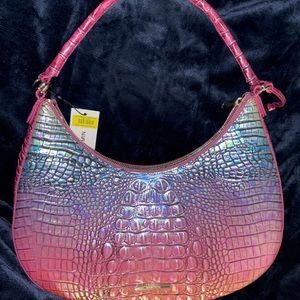 Brahmin Bekka in Horizon